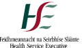 HSE Logo